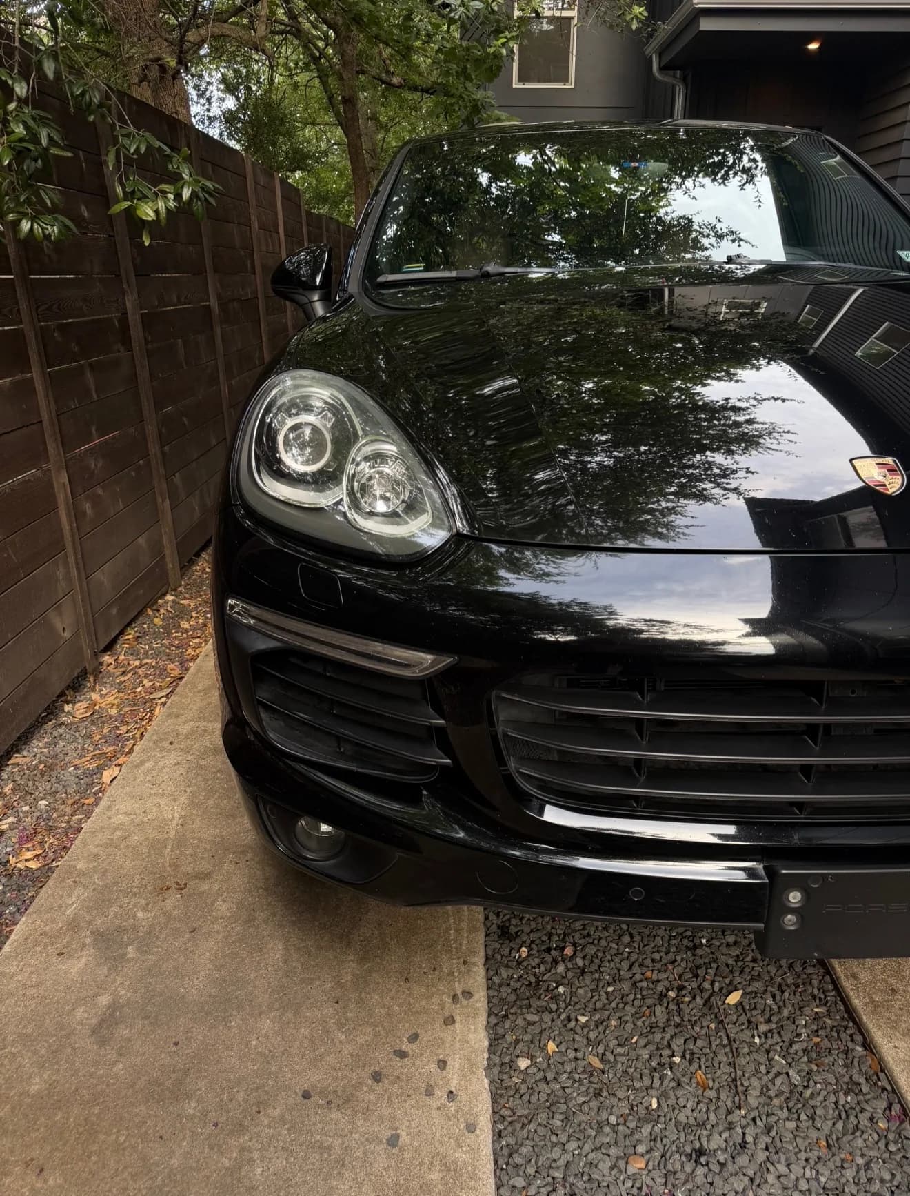 Glossy black Porsche paint reflecting trees after detailing
