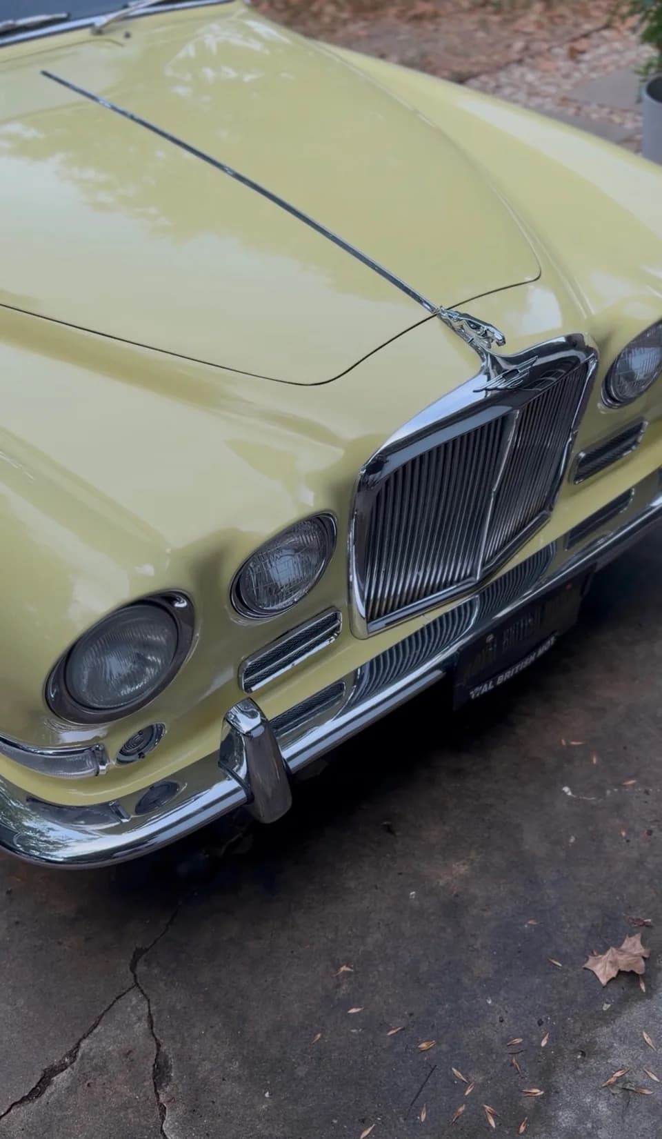 Polished chrome and pale yellow paint on a classic Jaguar